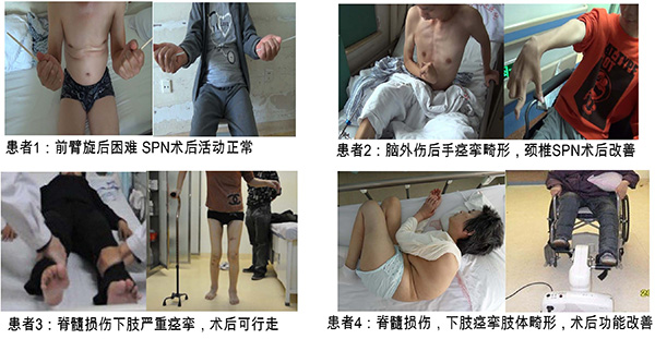 图片24.jpg 图片24.jpg